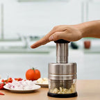 Stainless Steel Garlic Press