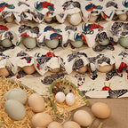 Multi-Pocket Eggs Harvest Working Aprons