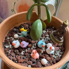 🦆Yellow Mini Duck Decoration