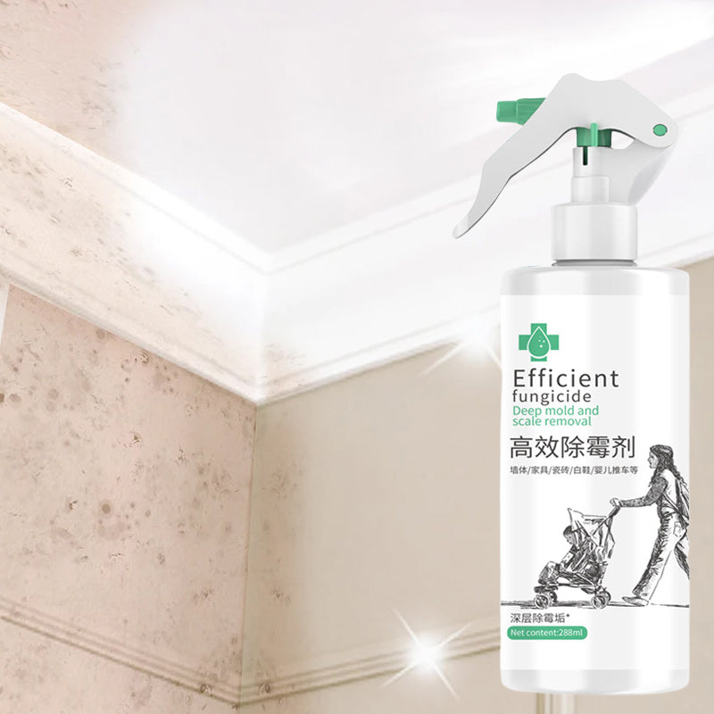 High-Efficiency Mold Remover