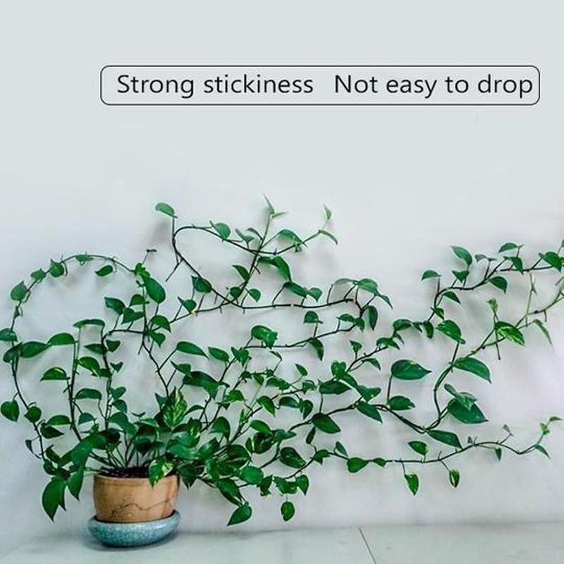 Wall clips for climbing plants (30 pieces)