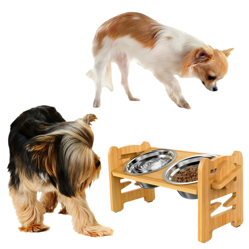 Elevated non-slip dog bowl stand with double bowls