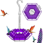 KolibriKracher — Create a vibrant bird paradise right in your garden!