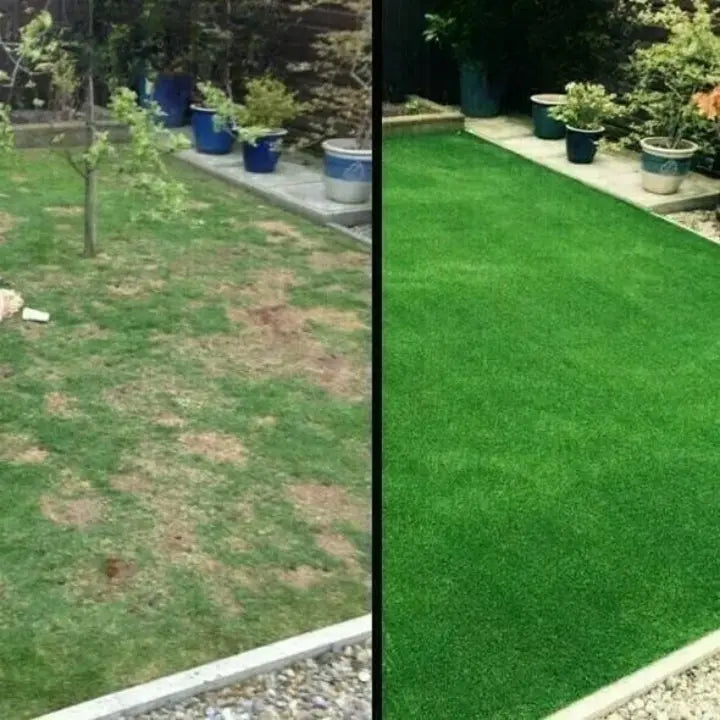 GrassGrow — Transforms your garden into a lush green that captivates all eyes