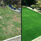 GrassGrow — Transforms your garden into a lush green that captivates all eyes
