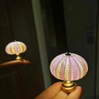 LumiCraft – Unique DIY table lamp with natural sea shell for a cozy décor