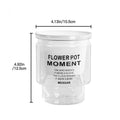 Self-Watering Transparent Succulent Planter