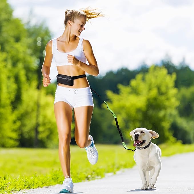 PawsFree Pro – Enjoy stress-free walks with your dog