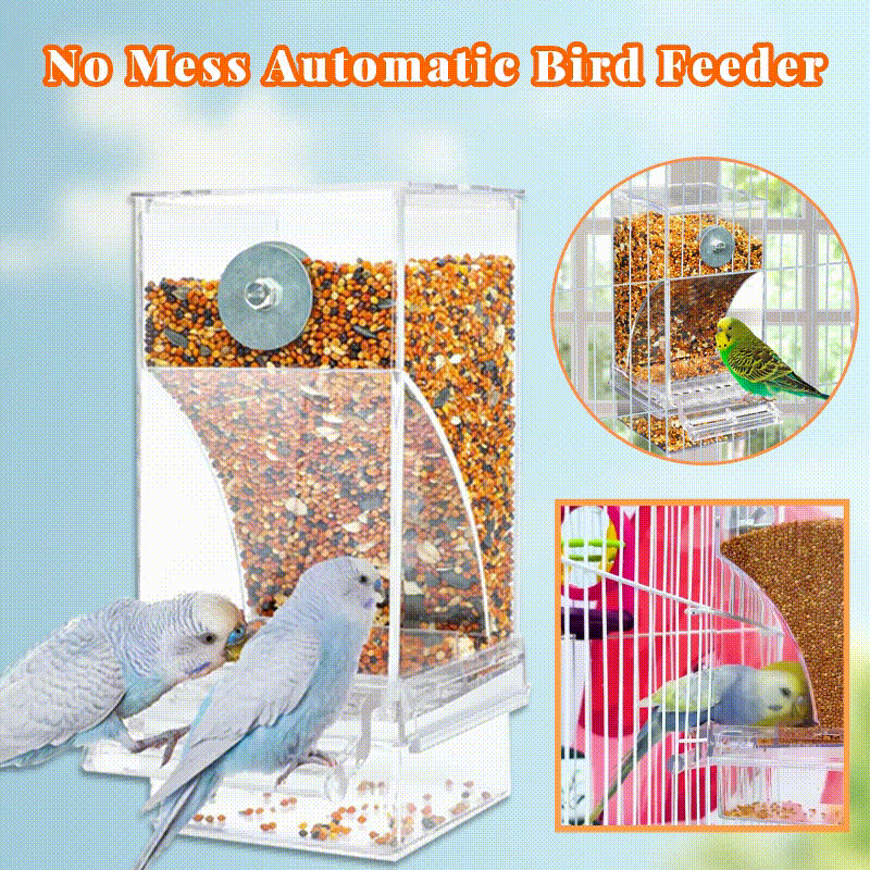 Automatic overflow protection Transparent bird feeder