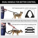 PawsFree Pro – Enjoy stress-free walks with your dog