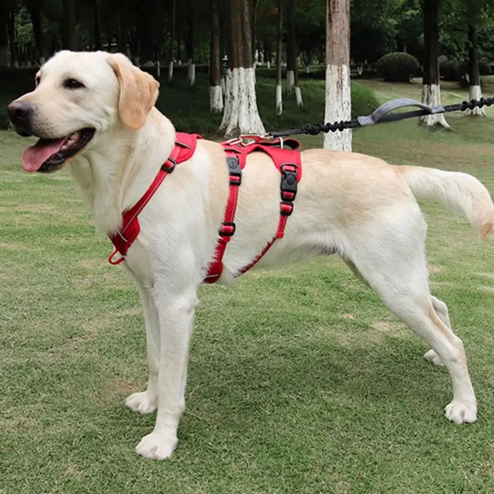 Reflective & escape-proof for relaxed walks