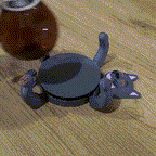 🐱Cute Cat Coasters, Fun and Practical, Perfect Gift!🎁