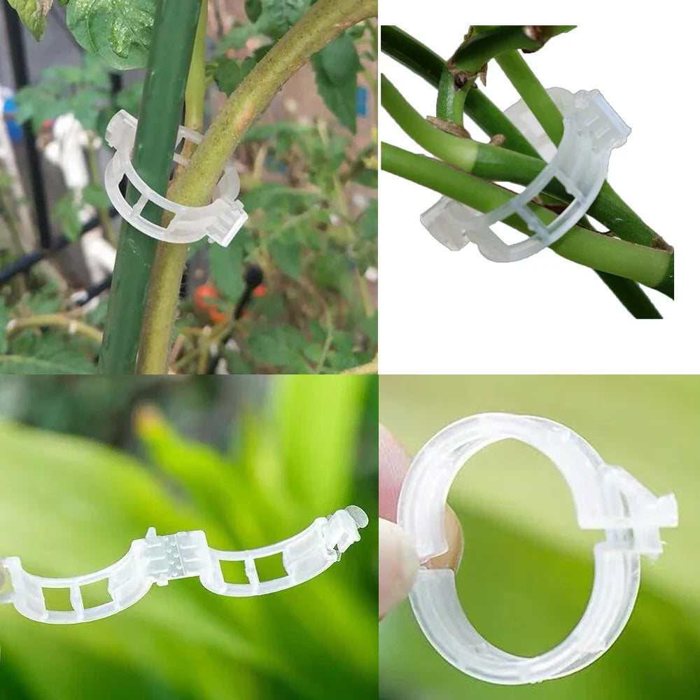 Plant support clip for climbing plants – Flexible holder for plant stems