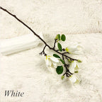 BloomingEase – Year-round freshness without the need for water or sunlight