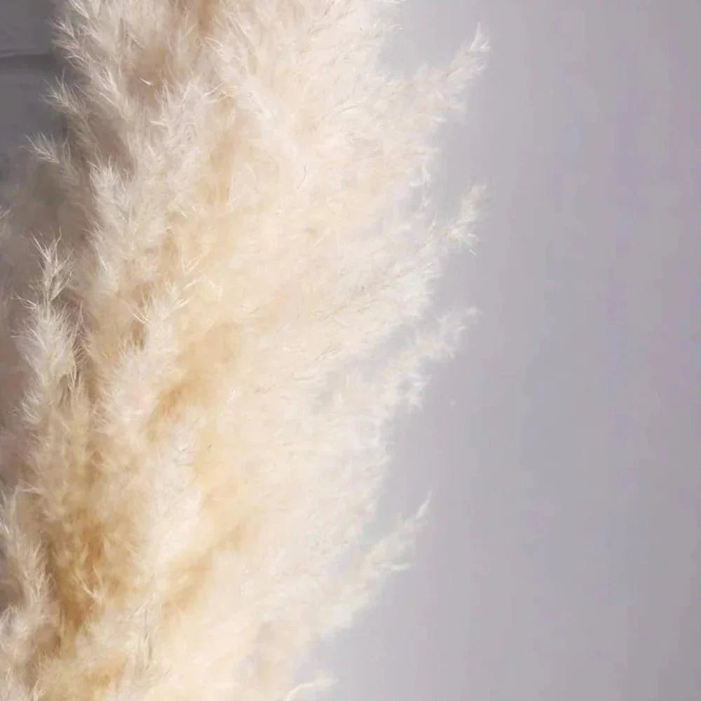 80 cm natural, real dried pampas grass bouquet (white / beige / gray) │ fluffy feather for modern boho home decor