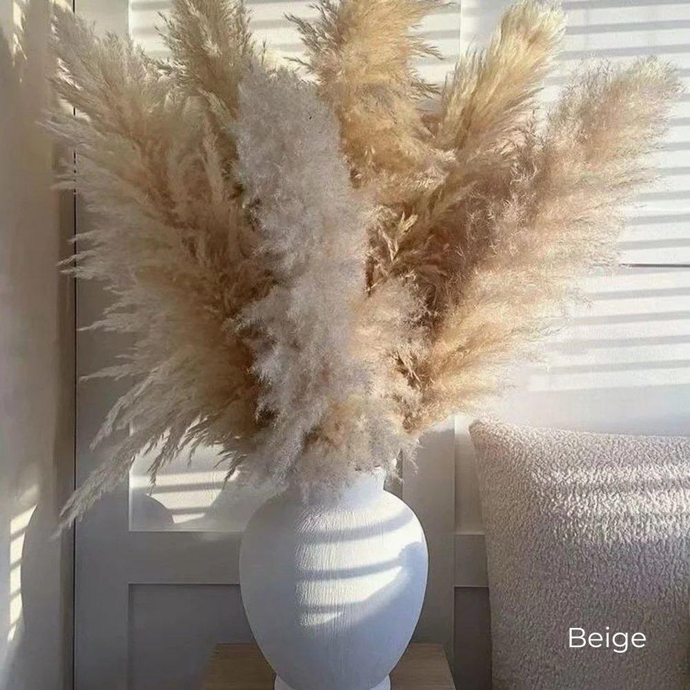 80 cm natural, real dried pampas grass bouquet (white / beige / gray) │ fluffy feather for modern boho home decor