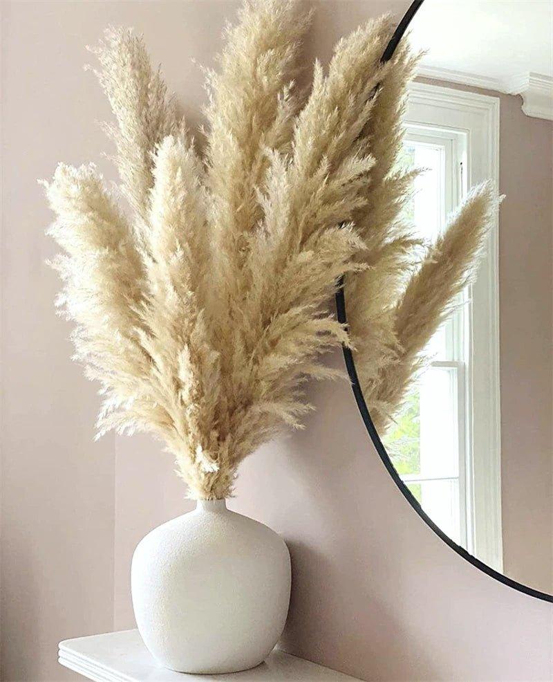 80 cm natural, real dried pampas grass bouquet (white / beige / gray) │ fluffy feather for modern boho home decor