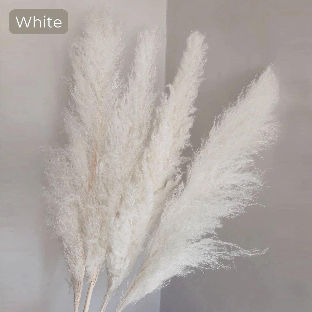 80 cm natural, real dried pampas grass bouquet (white / beige / gray) │ fluffy feather for modern boho home decor