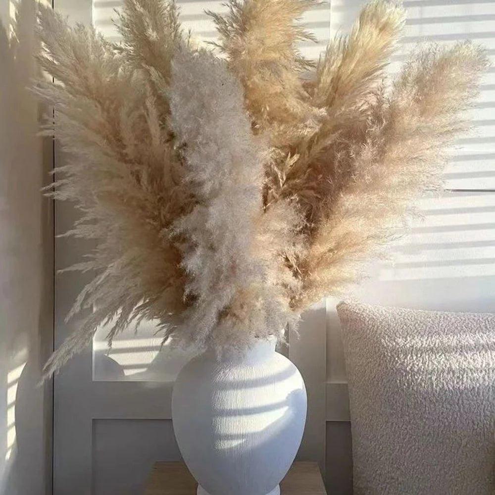 80 cm natural, real dried pampas grass bouquet (white / beige / gray) │ fluffy feather for modern boho home decor