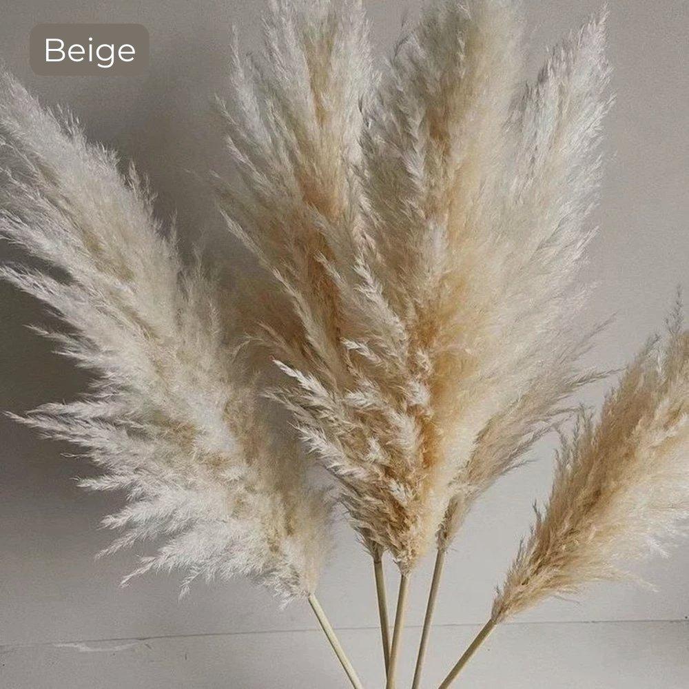 80 cm natural, real dried pampas grass bouquet (white / beige / gray) │ fluffy feather for modern boho home decor