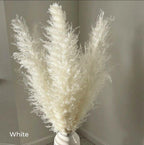 80 cm natural, real dried pampas grass bouquet (white / beige / gray) │ fluffy feather for modern boho home decor