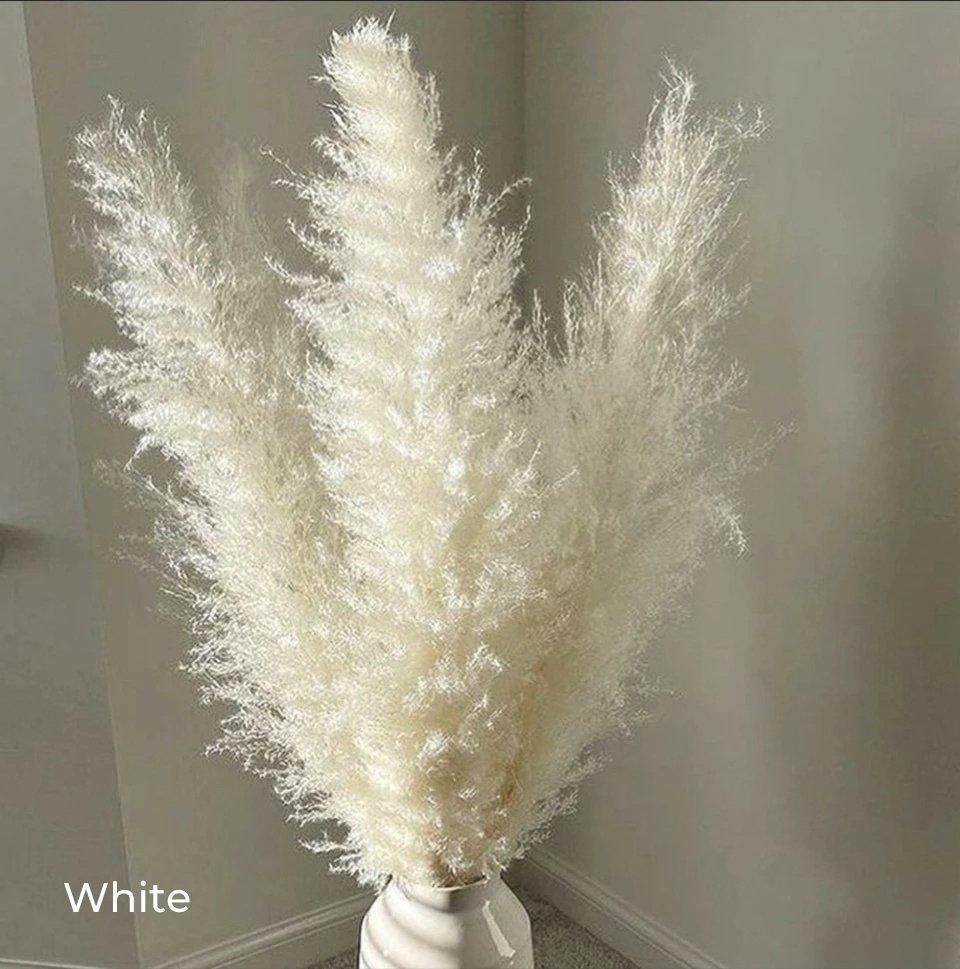 80 cm natural, real dried pampas grass bouquet (white / beige / gray) │ fluffy feather for modern boho home decor