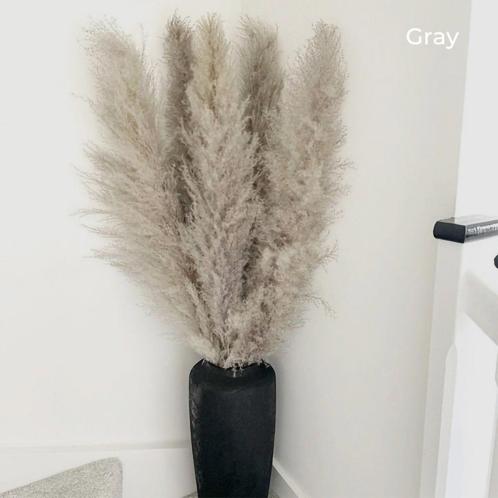 80 cm natural, real dried pampas grass bouquet (white / beige / gray) │ fluffy feather for modern boho home decor