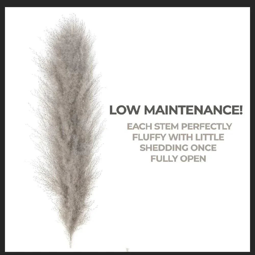80 cm natural, real dried pampas grass bouquet (white / beige / gray) │ fluffy feather for modern boho home decor