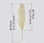 80 cm natural, real dried pampas grass bouquet (white / beige / gray) │ fluffy feather for modern boho home decor
