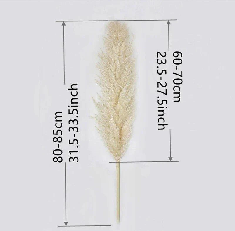 80 cm natural, real dried pampas grass bouquet (white / beige / gray) │ fluffy feather for modern boho home decor
