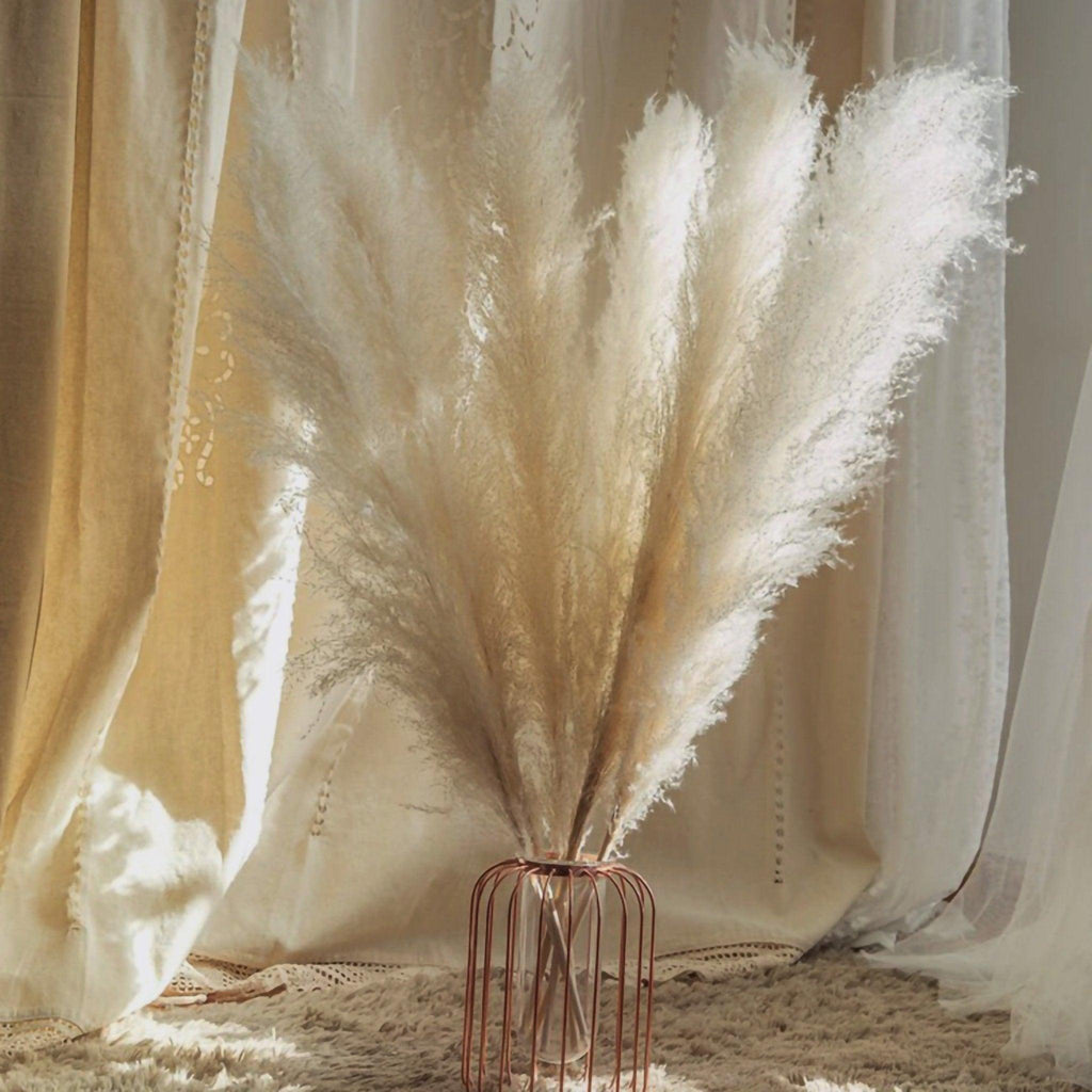 80 cm natural, real dried pampas grass bouquet (white / beige / gray) │ fluffy feather for modern boho home decor