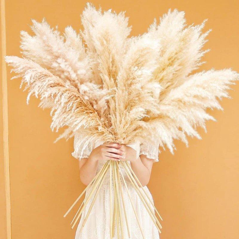 80 cm natural, real dried pampas grass bouquet (white / beige / gray) │ fluffy feather for modern boho home decor