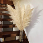 80 cm natural, real dried pampas grass bouquet (white / beige / gray) │ fluffy feather for modern boho home decor