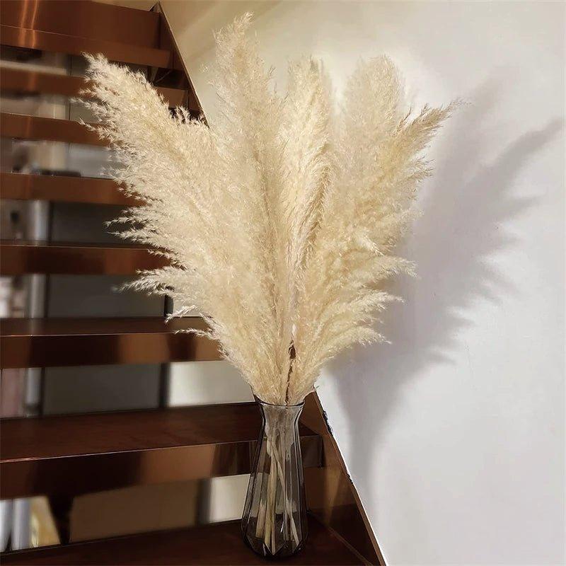 80 cm natural, real dried pampas grass bouquet (white / beige / gray) │ fluffy feather for modern boho home decor