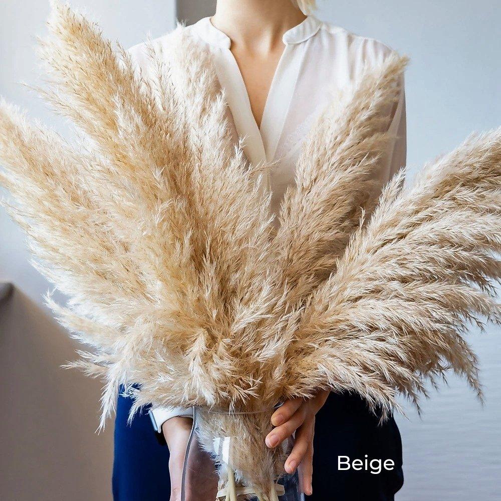 80 cm natural, real dried pampas grass bouquet (white / beige / gray) │ fluffy feather for modern boho home decor