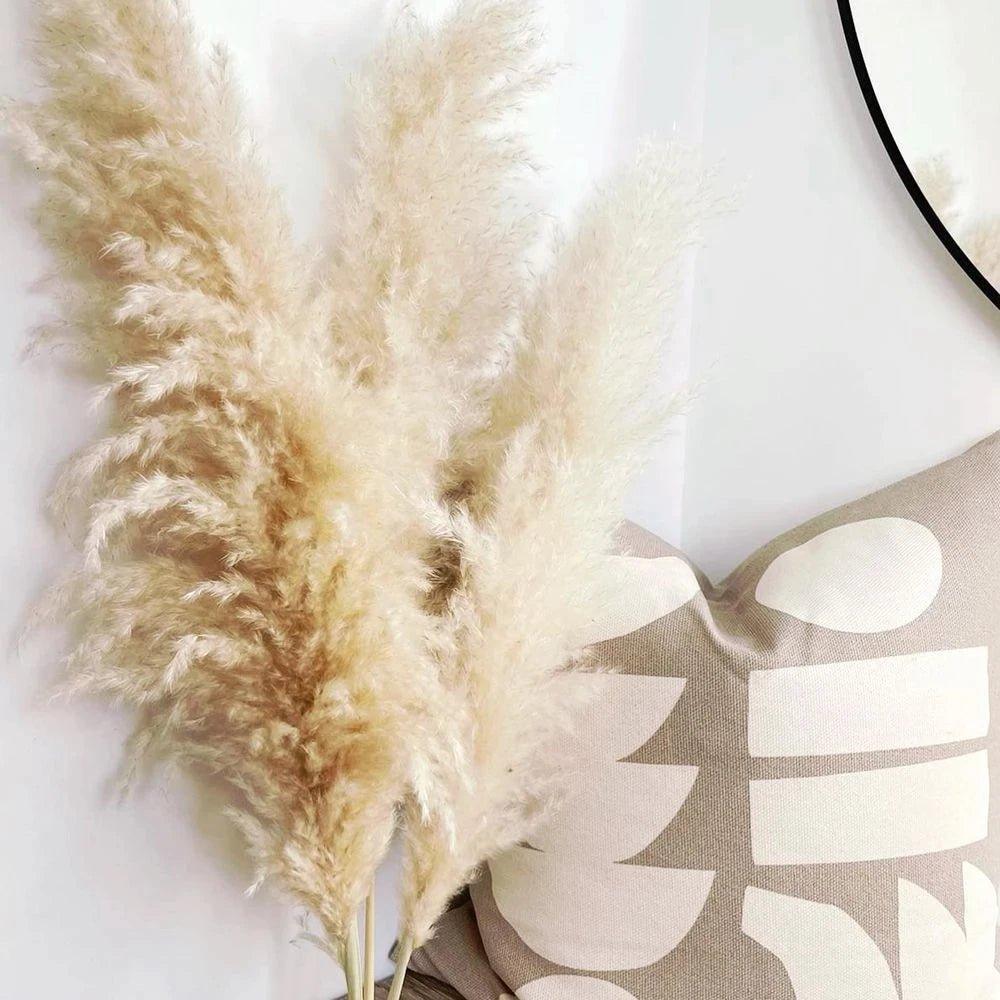 80 cm natural, real dried pampas grass bouquet (white / beige / gray) │ fluffy feather for modern boho home decor