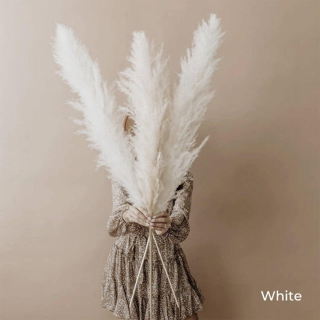 80 cm natural, real dried pampas grass bouquet (white / beige / gray) │ fluffy feather for modern boho home decor