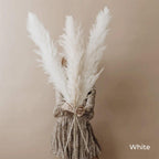 80 cm natural, real dried pampas grass bouquet (white / beige / gray) │ fluffy feather for modern boho home decor