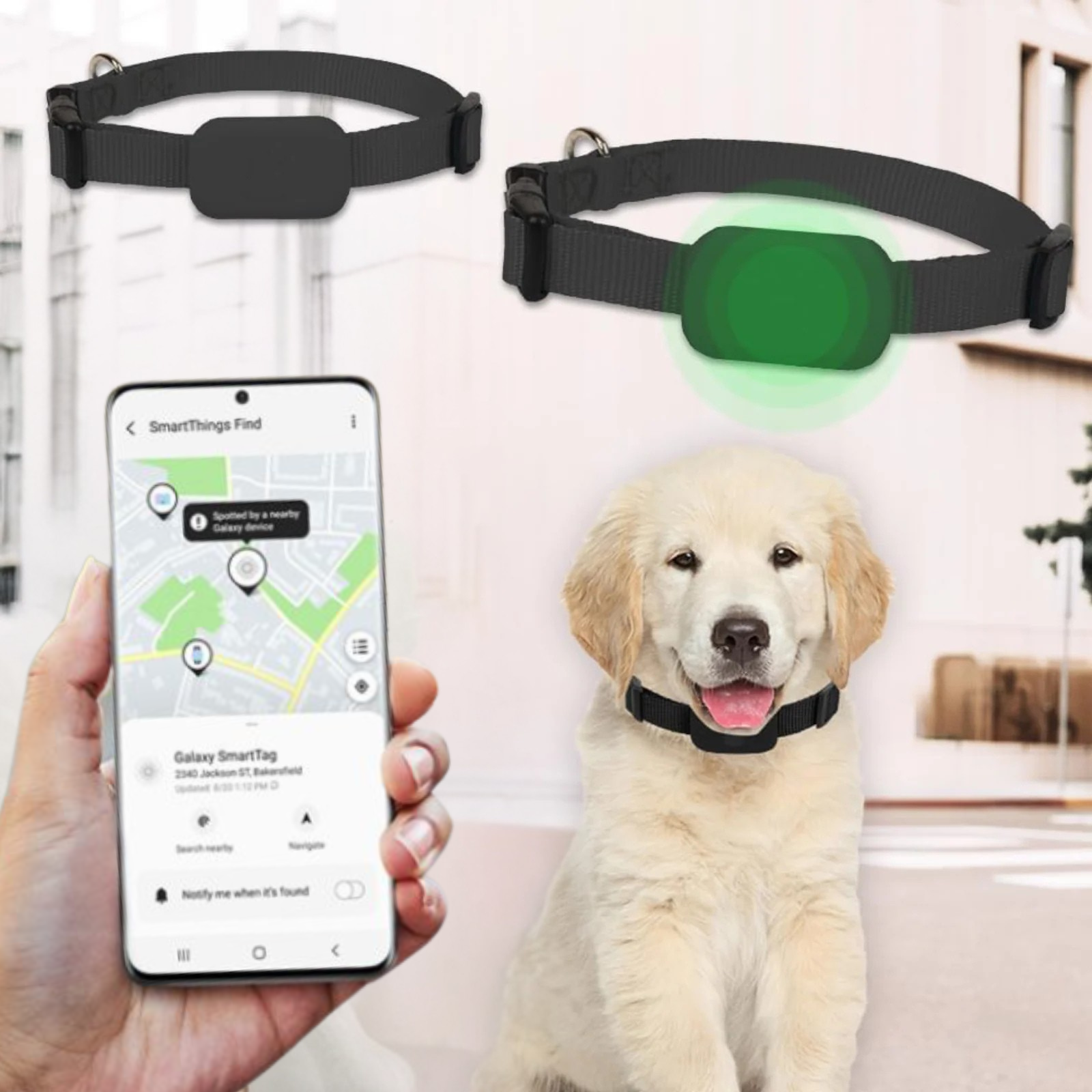AnimalTracker Mini – Smart Dog and Cat Bluetooth Collar Tracker