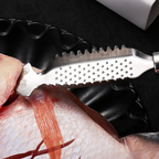 Stainless Steel Fish Scales Remover