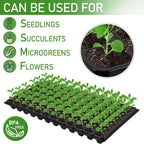 Rectangular Plant Bowl – Seedling Tray for Efficient Germination and Growth of Seedlings