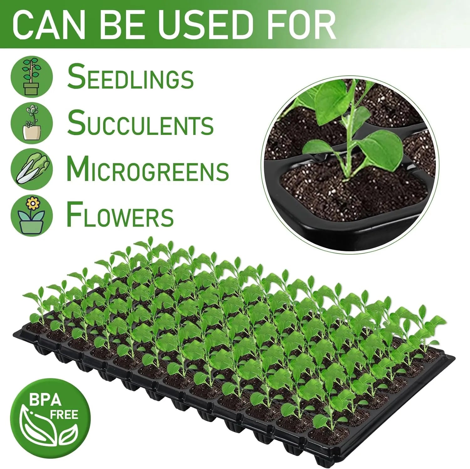 Rectangular Plant Bowl – Seedling Tray for Efficient Germination and Growth of Seedlings