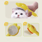 One Click Hair Removal Pet Grooming Brush