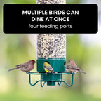 Bird Feeder Hanging Metal Squirrel Proof Tube