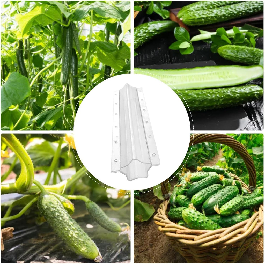 Star shape vegetable mold for cucumbers – Creative mold rail for fruits and vegetables