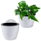 Self-watering hanging plant pot – Modern flower pot for wall mounting