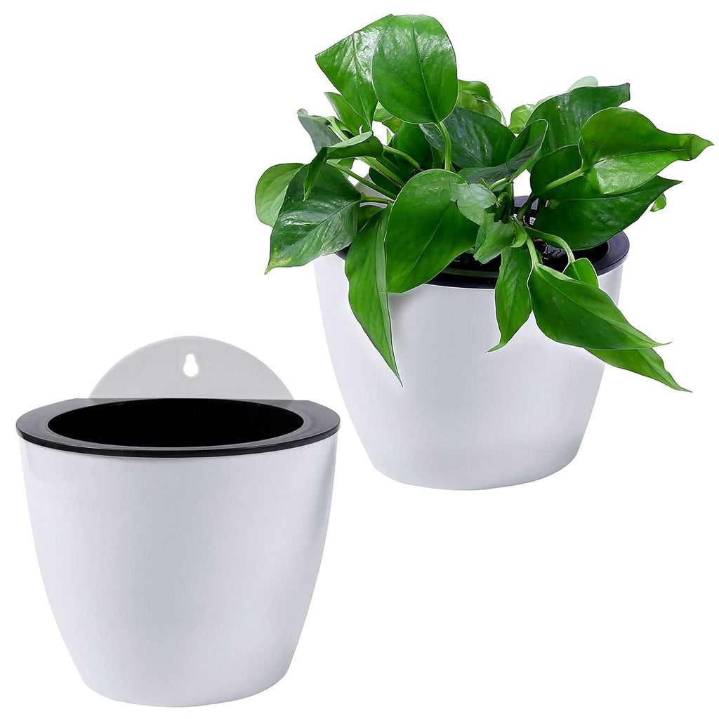 watering flower pot