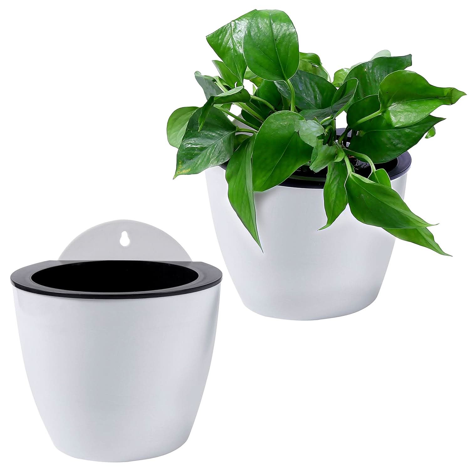 watering flower pot