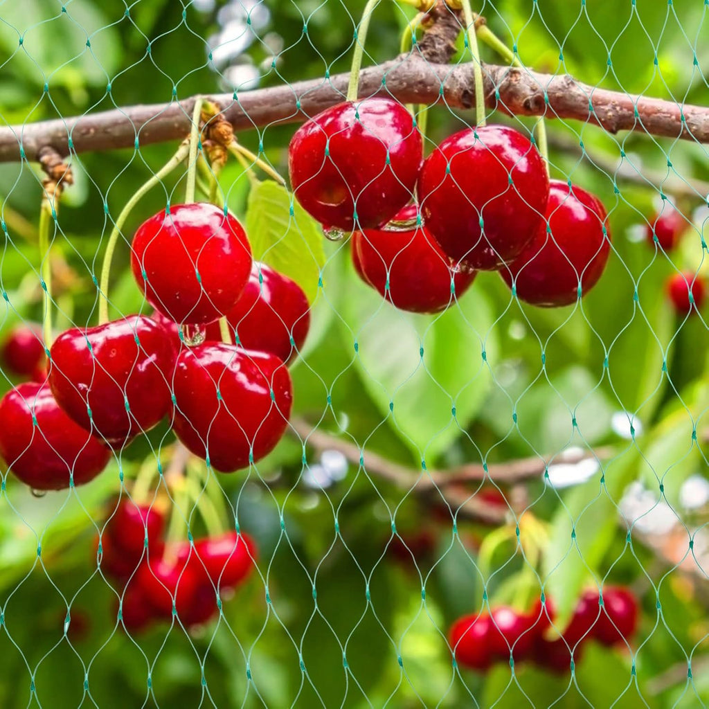 Protective net for garden plants – Green net against pests and animals
