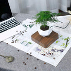Levitating Plant Pot – Magnetic Floating Planter